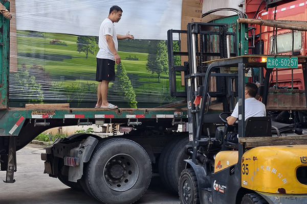 Tionscadal Stáit Grid Henan 2025 Críochnaithe